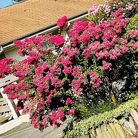 Campanile Nature - Hotel 3*