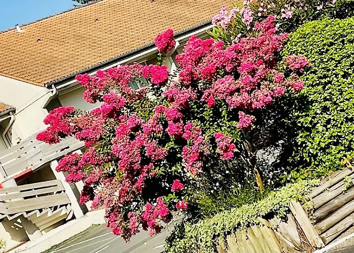 Campanile Nature - Hotel 3*