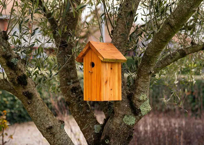 Campanile Nature - Hotel 3*