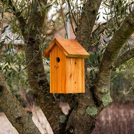 Campanile Nature - Hotel 3*